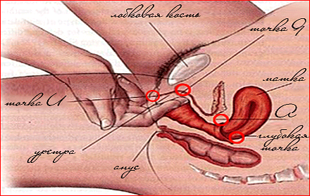 платные услуги мужчин